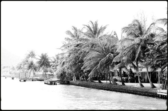 Quartier de milliardaires