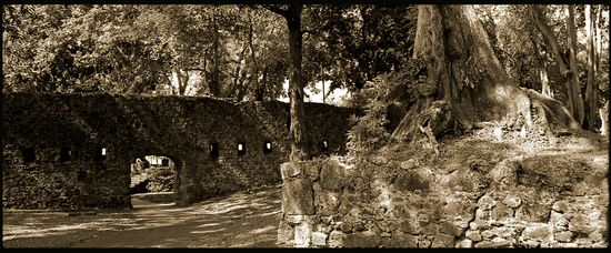 La Savane - Fort-de-France