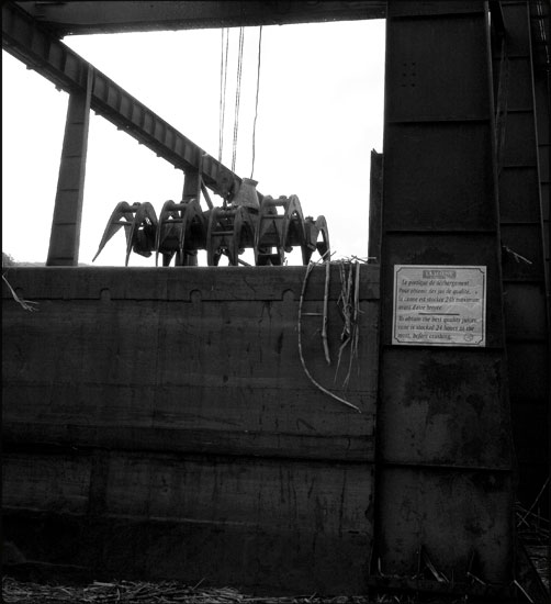 Distillerie La Mauny - Martinique