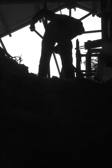 Distillerie Rhum JM - Martinique