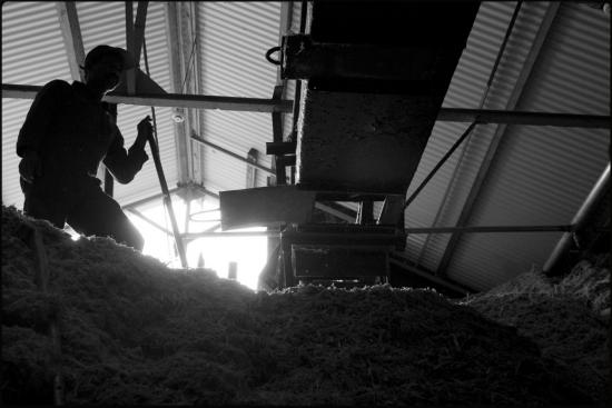 Distillerie Rhum JM - Martinique