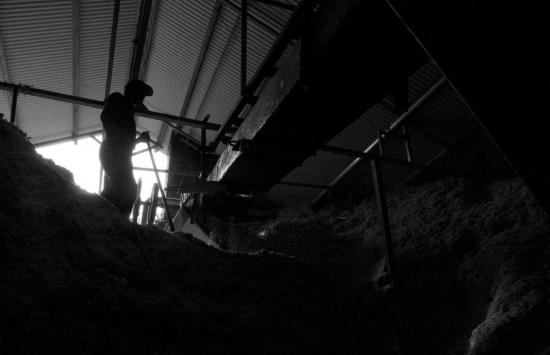 Distillerie Rhum JM - Martinique