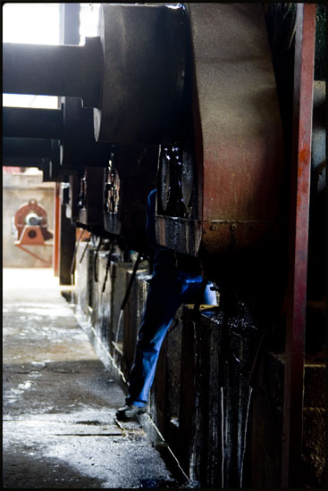 Distillerie La Mauny - Martinique