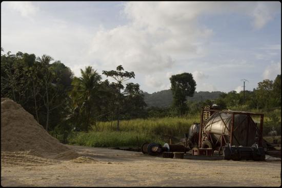 Distillerie La Mauny - Martinique