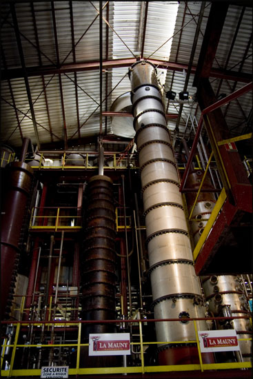 Distillerie La Mauny - Martinique