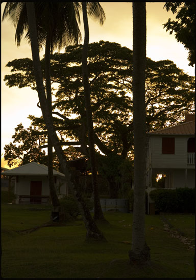 Couchant - Le Lamentin