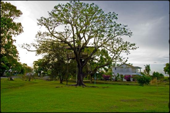 Le jardin d'hubert - Le Lamentin