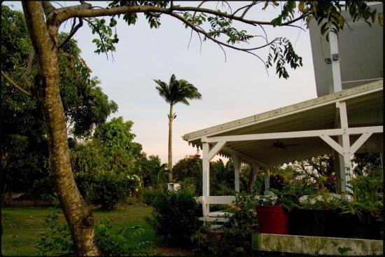 Le jardin d'Hubert - Le Lamentin