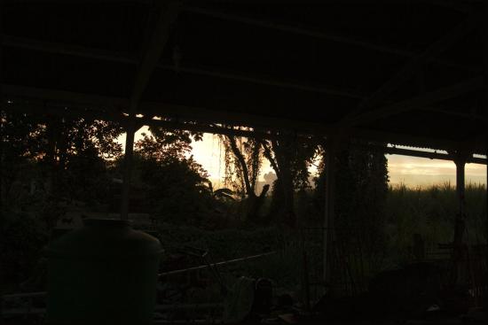 Le jardin d'Hubert au couchant - Le Lamentin