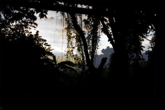 Le jardin d'Hubert au couchant - Le Lamentin