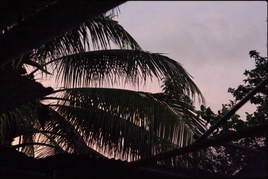 Le jardin d'Hubert au couchant - Le Lamentin