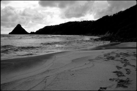 Plage au matin - Charpentier