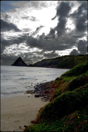 Plage au matin - Charpentier