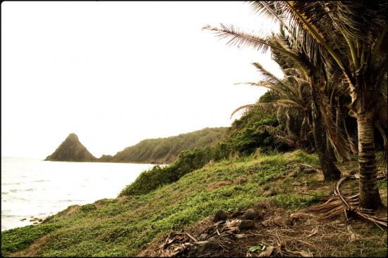 Plage au matin - Charpentier