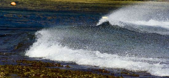 Le Brusc - Six-Fours - Var