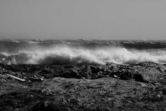 Le Brusc - Six-Fours - Var