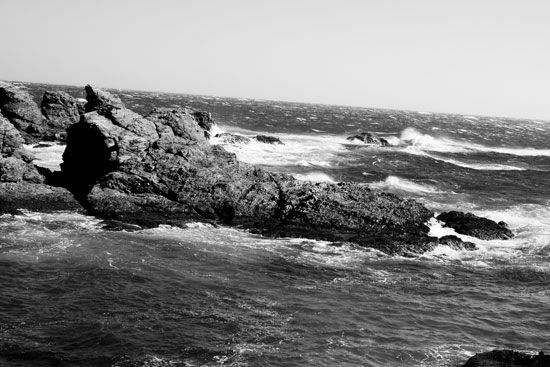 Le Brusc - Six-Fours - Var