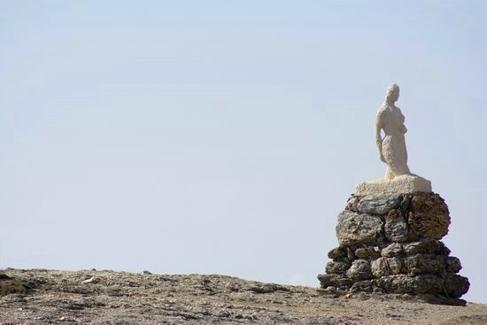 Polie par les embruns - Le Brusc - Six-Fours - Var