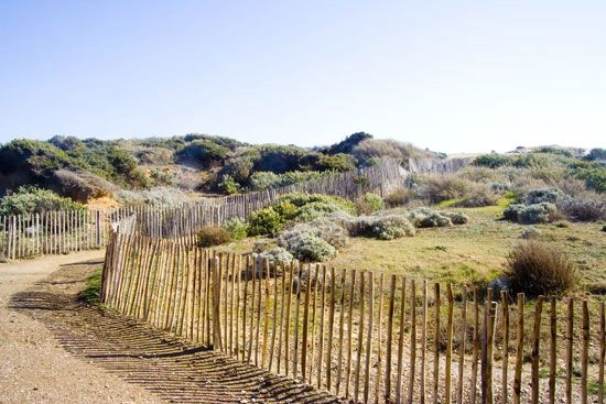 Le Brusc - Six-Fours - Var