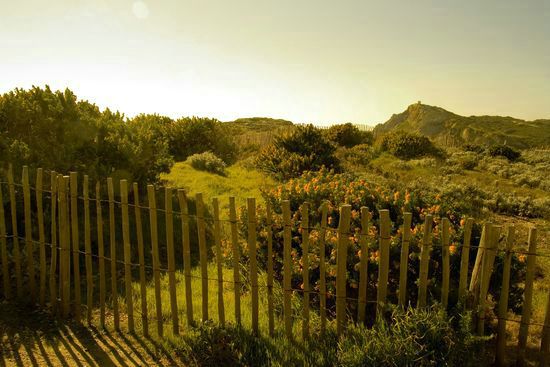 Le Brusc - Six-Fours - Var