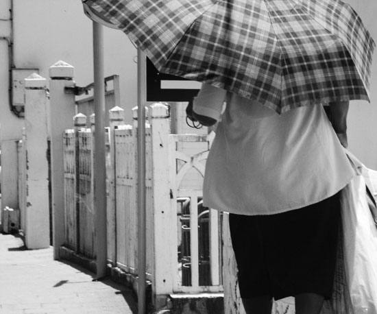 Les ombrelles des Antilles