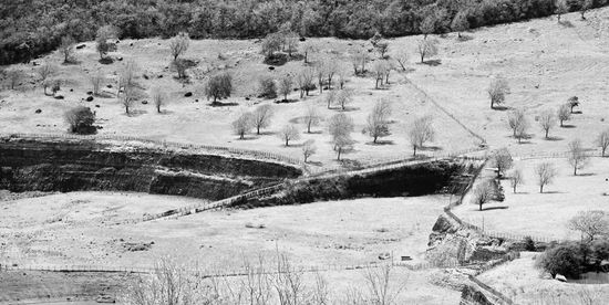 Quand les tropiques se font arides