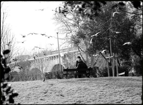 Envol - Palais Longchamp