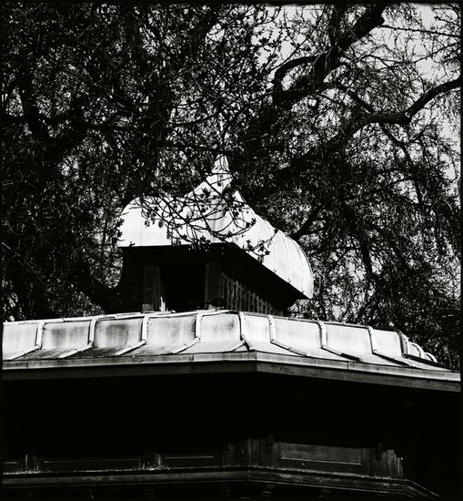 Vestiges du zoo - Palais Longchamp
