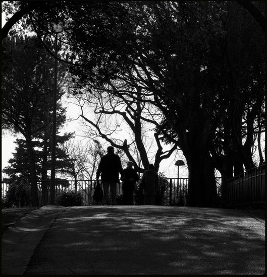 Promenade au jardin - Palais Longchamp