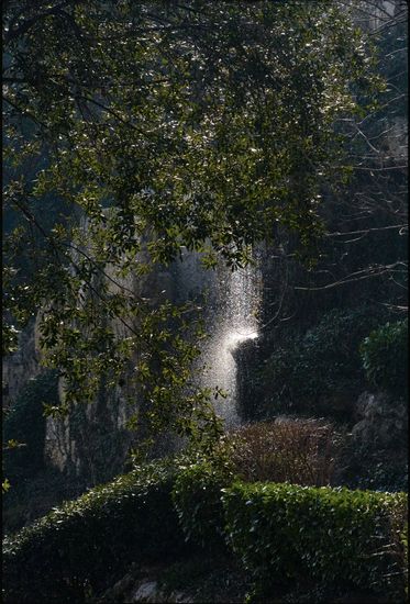 Fontaine - Palais Longchamp
