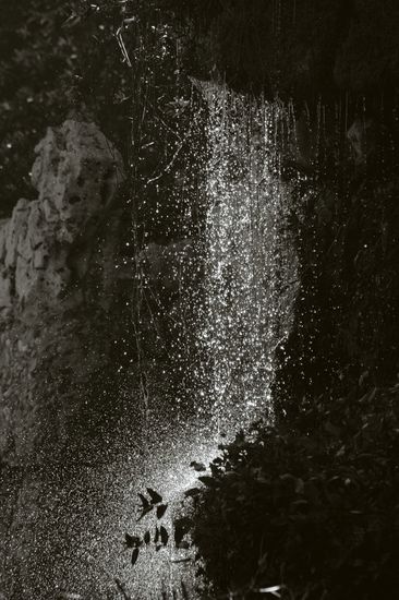 Histoire d'eau - Palais Longchamp