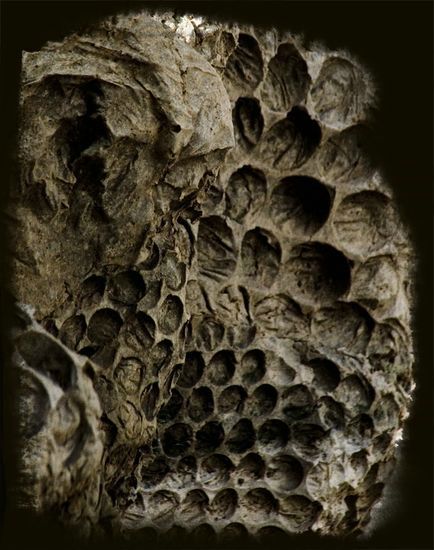 Oeuvre contemporaine - Palais Longchamp