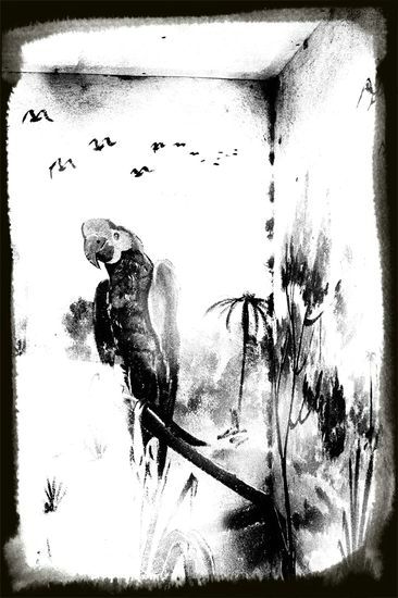 Vestige de la cage aux oiseaux exotiques - Palais Longchamp