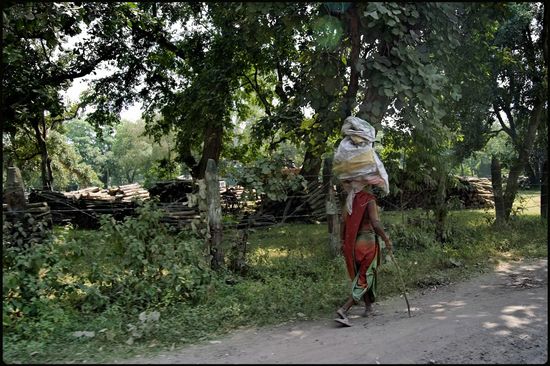 Sur la route - Madhya Pradesh