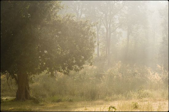 Khana, Madhya Pradesh