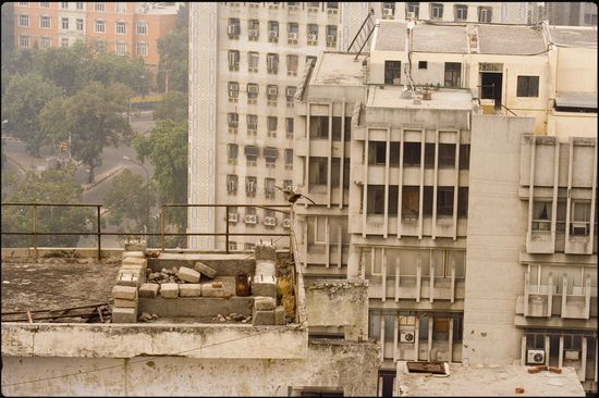 Les rapaces de Delhi