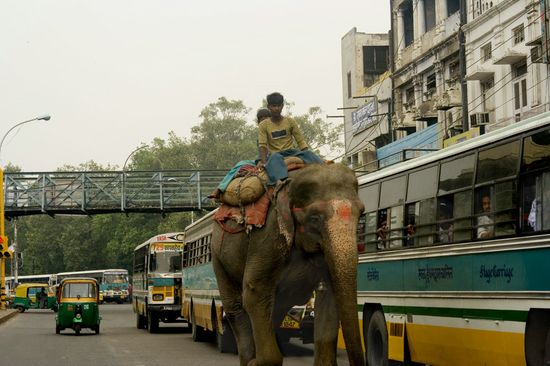 Ganesh nous suit - Old Delhi