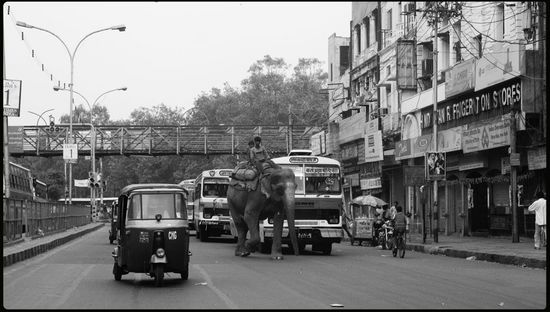 Trafic - Old Delhi