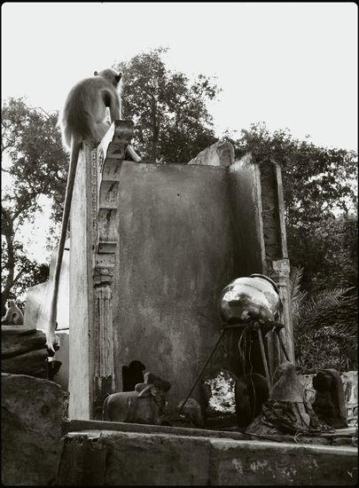 Fort de Ranthambhore - Rajasthan
