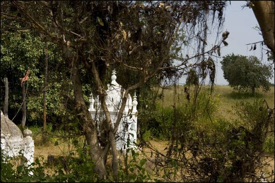 Temples hindous - Madhya Pradesh