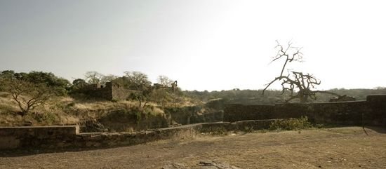 Vers le temple de Ganesha - Ranthambhore - Rajasthan