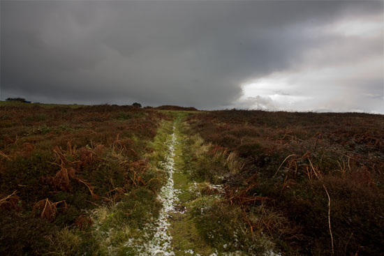 Sentier dans la lande